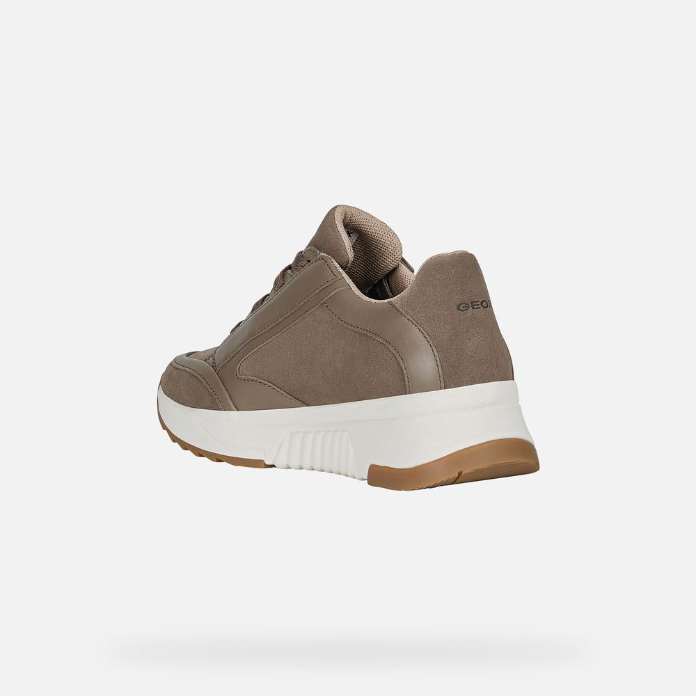 Geox Bayan Spor Ayakkabı Koyu Bej Rengi - Falena Abx - CAZ-856491